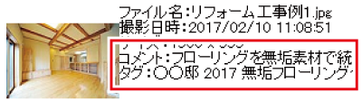 写真1枚1枚にコメントやタグを登録して管理
