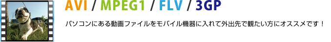 パソコンにある動画ファイルをモバイル機器に入れて外出先で観たい方にオススメです！