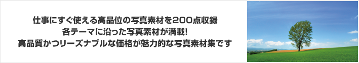 仕事にすぐ使える高品位の写真素材を200点収録！空、草原、花をテーマにした写真素材が満載！