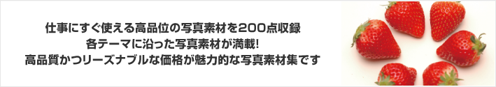 仕事にすぐ使える高品位の写真素材を200点収録！食材をテーマにした写真素材が満載！