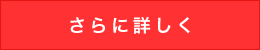 対応偽装手段についてさらに詳しく