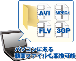 AVI / FLV / MPEG1 / 3GP
